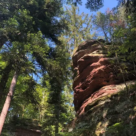 Lo'gite L'allee Du Val * Lalaye