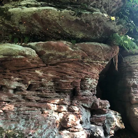 Lo'gite L'allee Du Val Lalaye