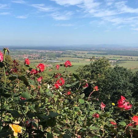 度假居 Lo'gite L'allee Du Val Lalaye
